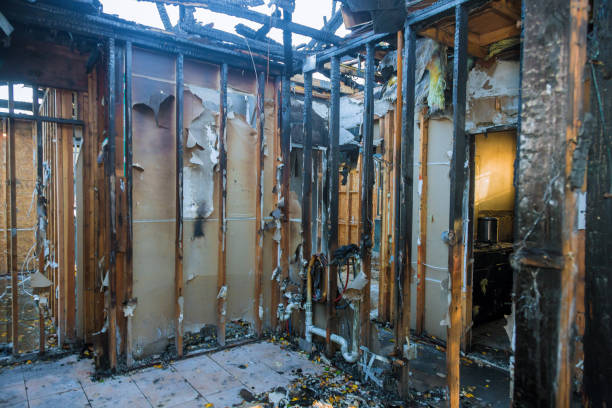 Professional Fire Damage Removal technician working in Saraland, AL